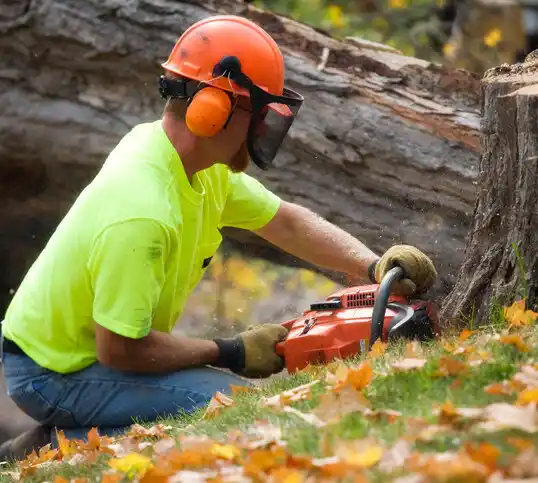 tree services Westport